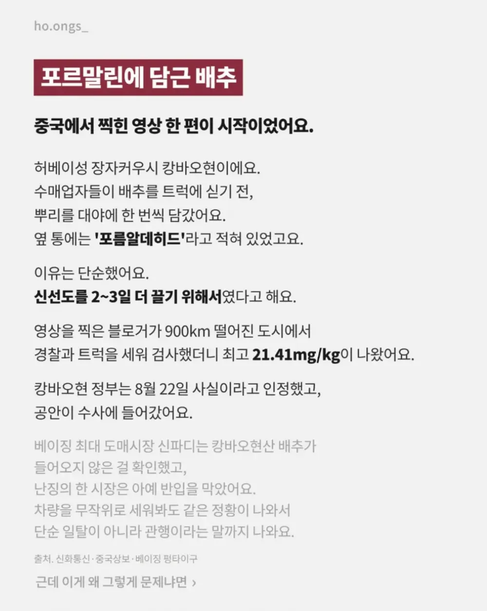 중국산 김치 구별법 (2)
