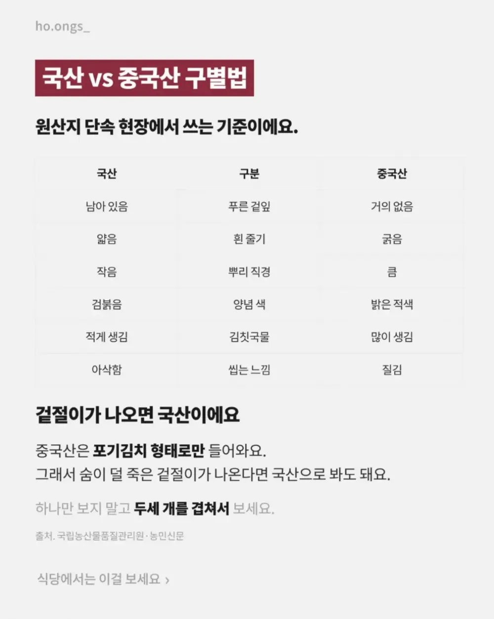 중국산 김치 구별법 (4)