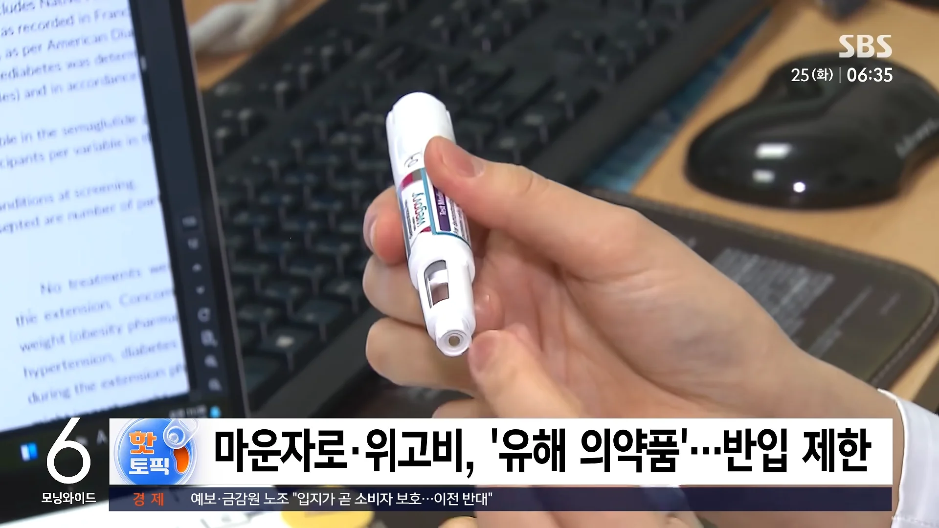 위고비 싸게 사와도 '유해 의약품' 반입제한 (5)