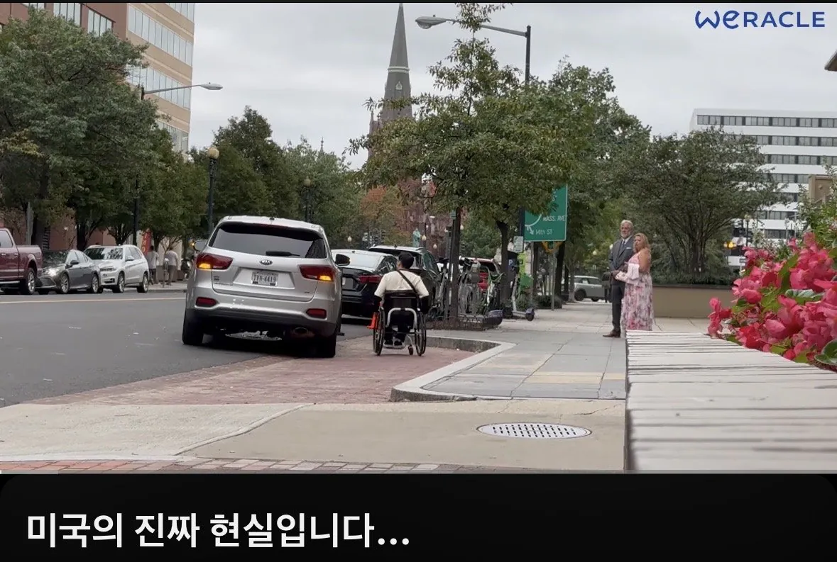 박위 영상 특징 (2)