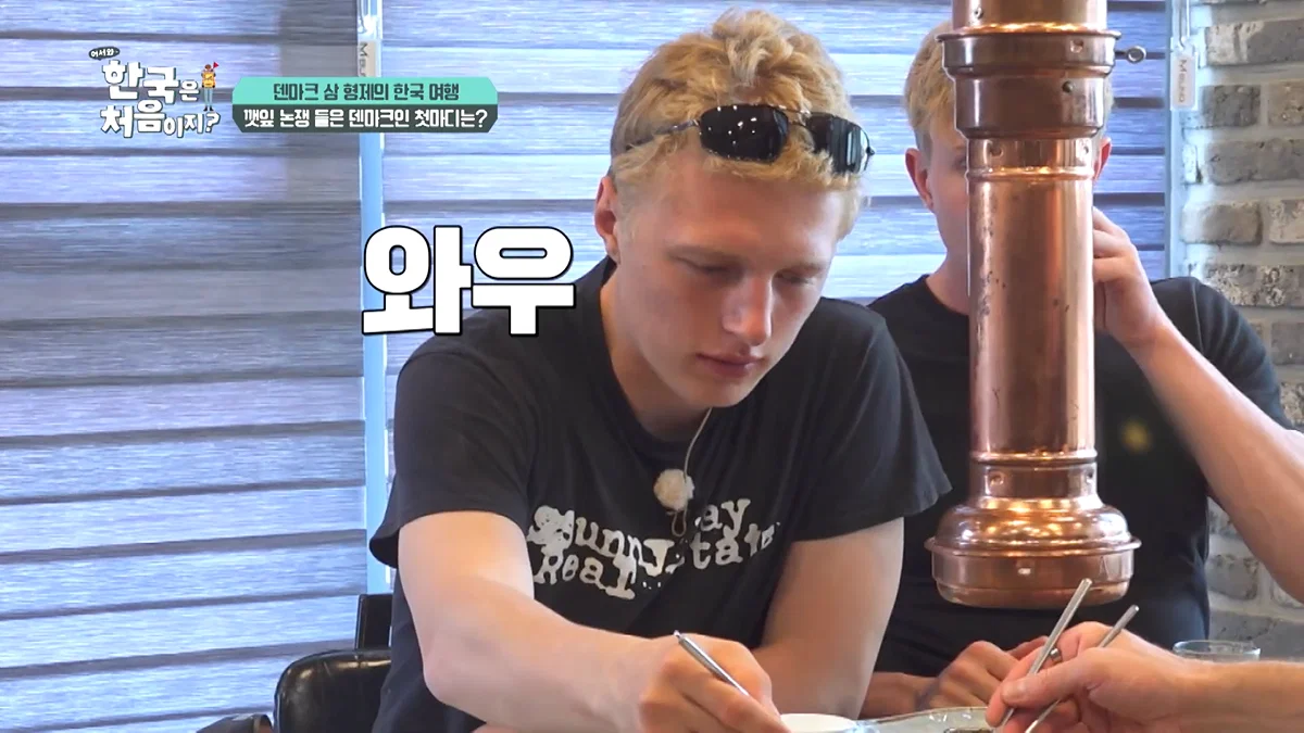 덴마크 사람이 느껴본 깻잎 논쟁 (20)