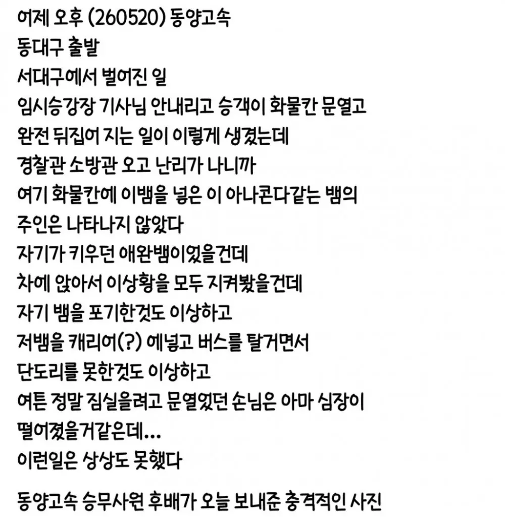 몸에 좋고 맛도좋은 뱀이다~! (3)