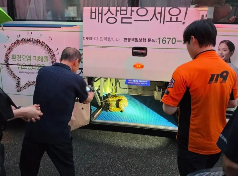 몸에 좋고 맛도좋은 뱀이다~! (2)