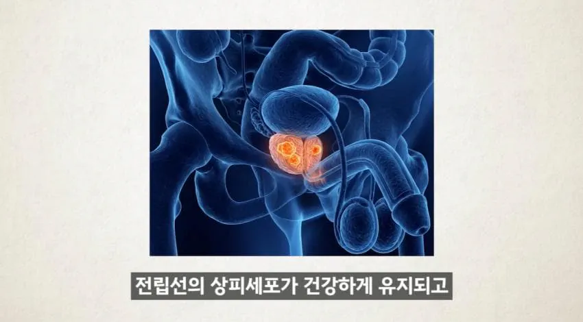 “한 달에 21번 사정하라!" (35)