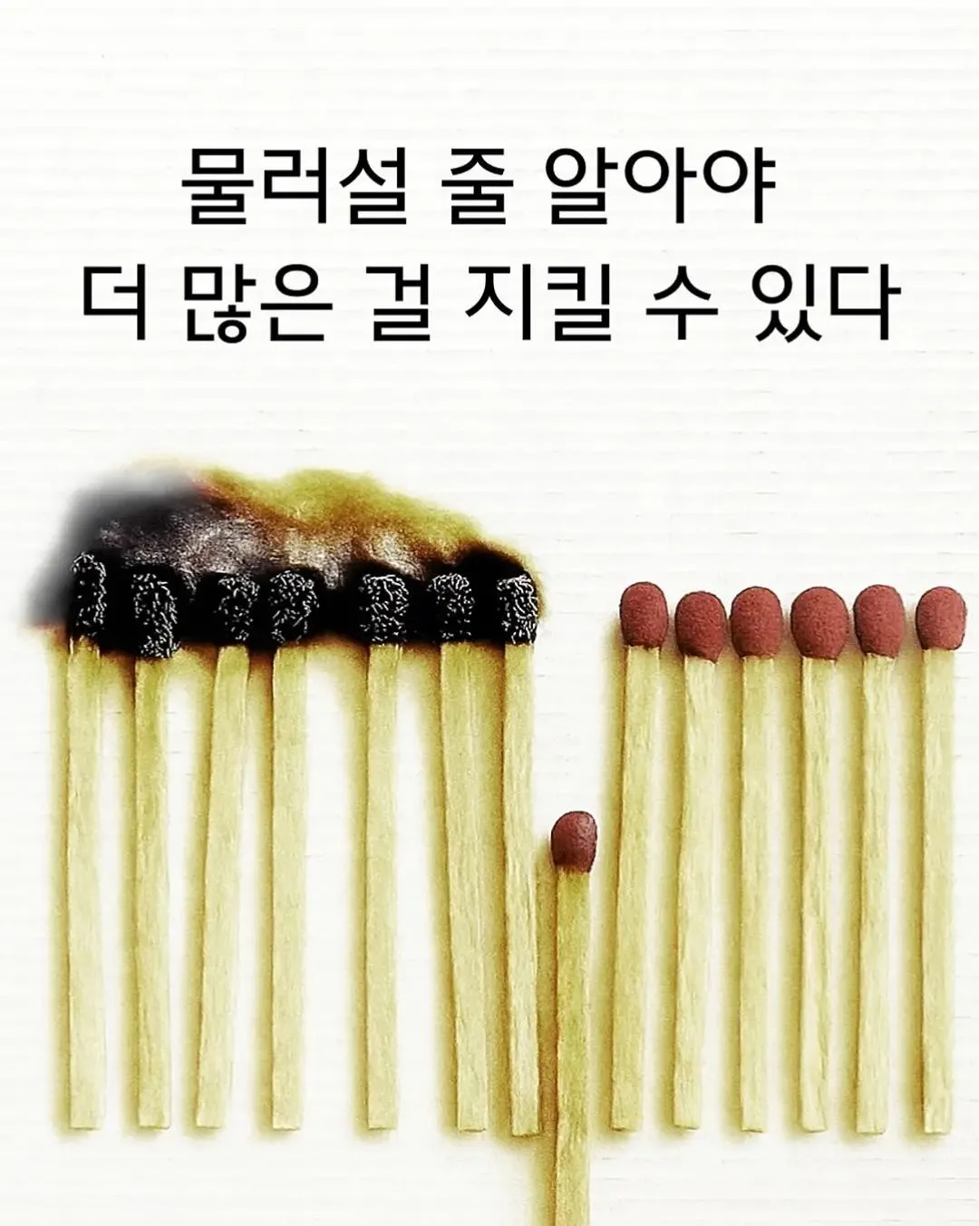멍청한 나를 정신 차리게 도와준 그림 6장 (7)
