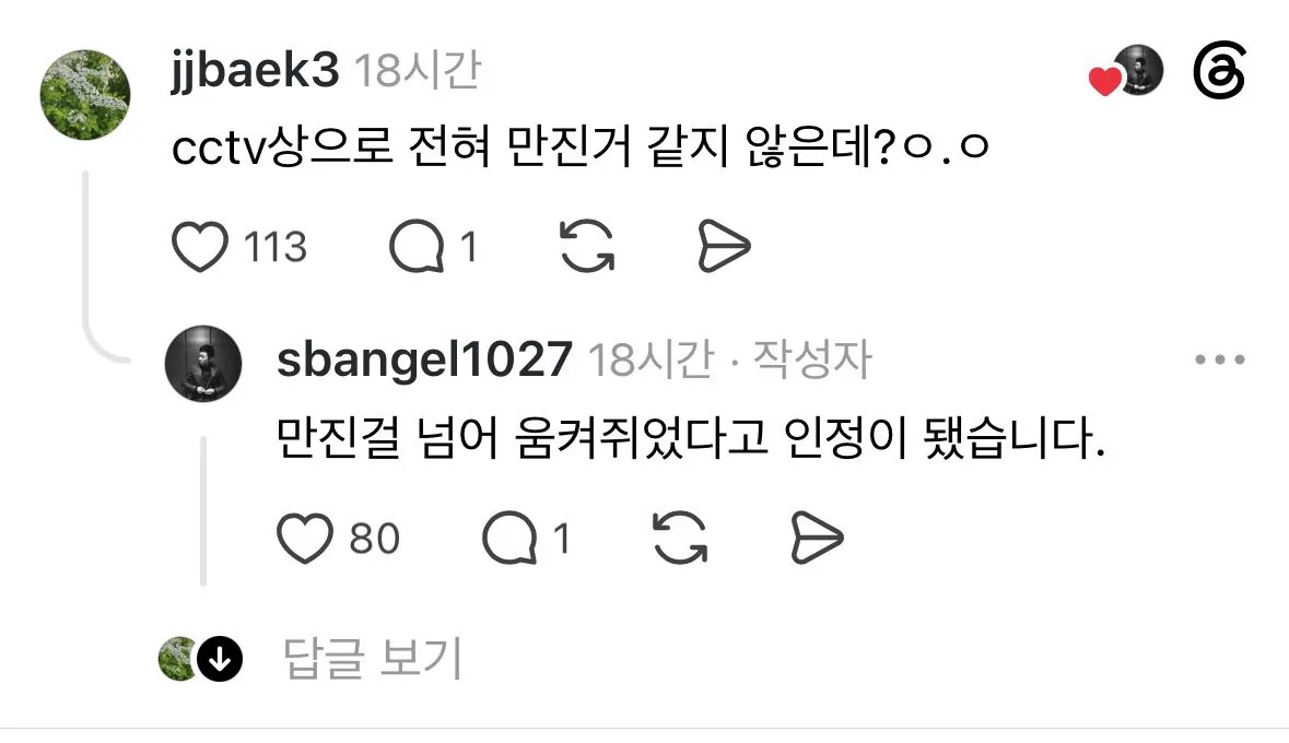 평택 노래방 여경 강제 추행 사건 결말 (5)