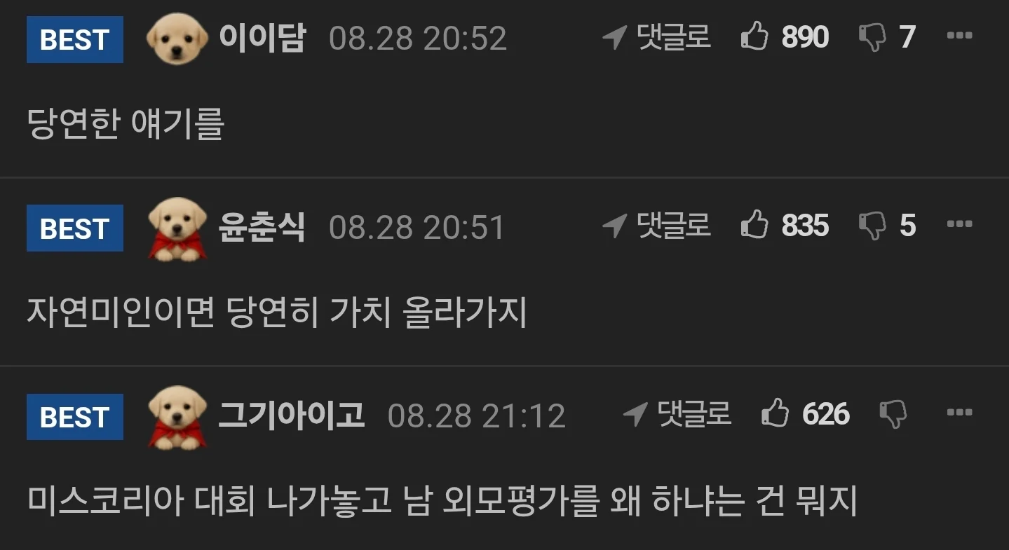 "성형 안했으면 가치 올라가나" 일침... 남초 반응 (4)