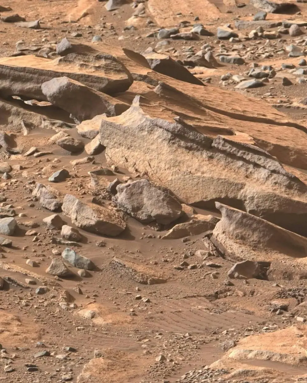 NASA가 공개한 가장 최근 화성 표면 고화질 사진 (2)