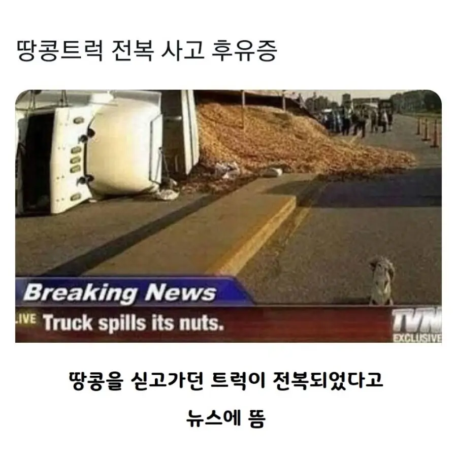 옥수수와 땅콩을 실은 트럭과 기차가 사고난 결과 (2)