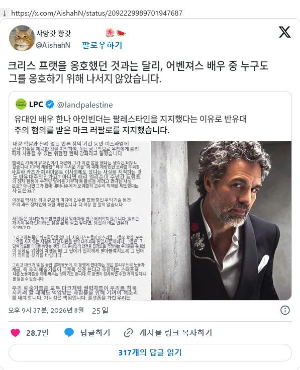 커리어 끊길 위기의 마크 러팔로 (7)