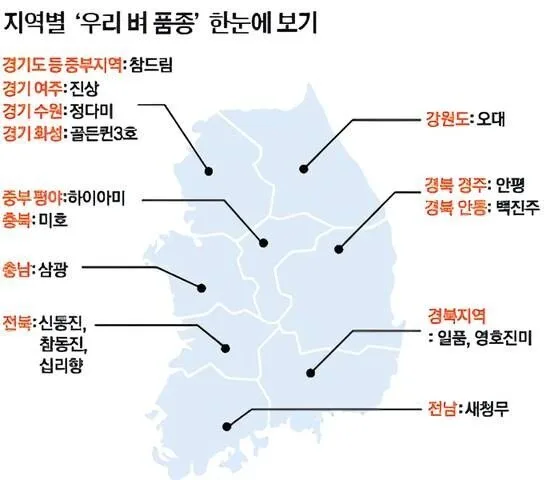 주요 쌀 품종 특징 비교 (3)