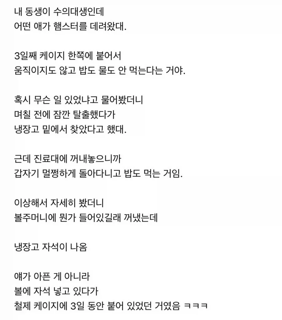 식음을 전폐했던 햄스터 (2)