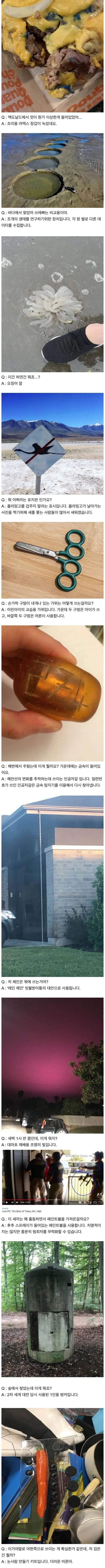 서양의 신기한 지식인 문답 (2)