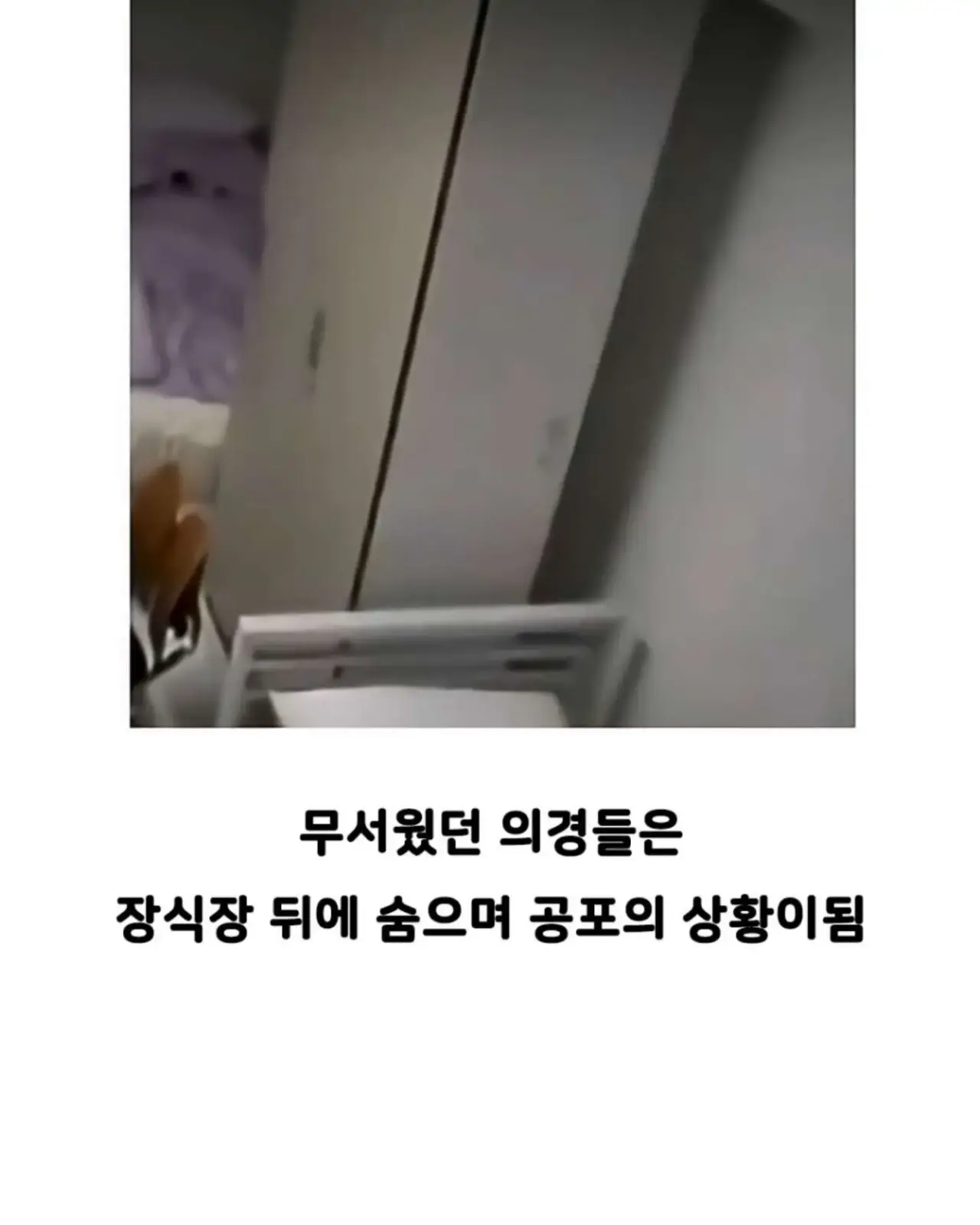 자기 빼고 빵 먹었다고 의경에 총 쏜 경찰 (4)