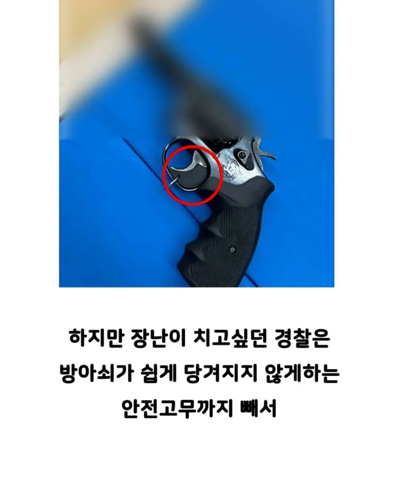 자기 빼고 빵 먹었다고 의경에 총 쏜 경찰 (5)