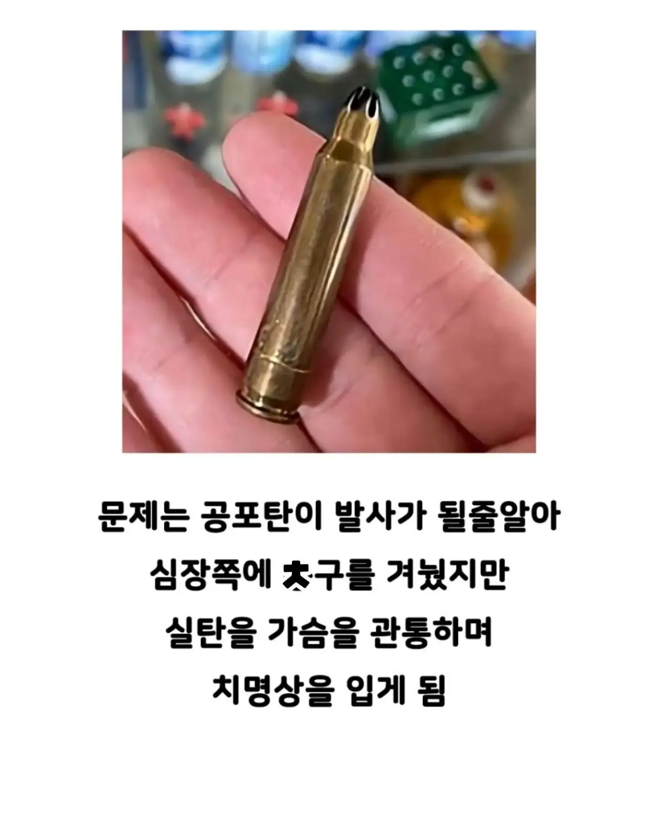 자기 빼고 빵 먹었다고 의경에 총 쏜 경찰 (7)