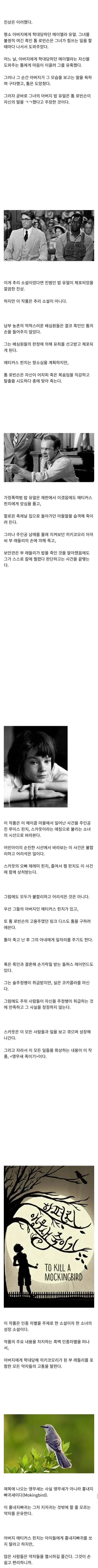 왜 앵무새를 죽이면 안될까? (2)