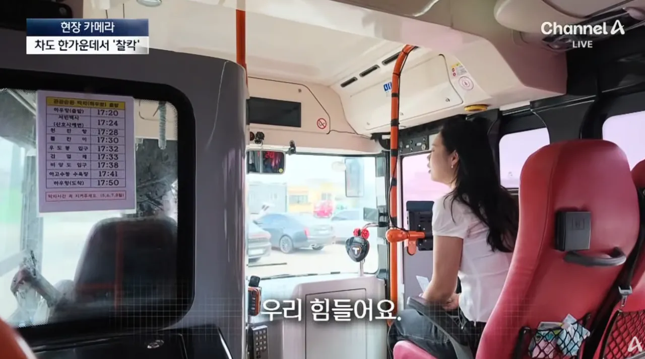 중국인들때문에 스트레스라는 제주도 우도 주민들 (18)
