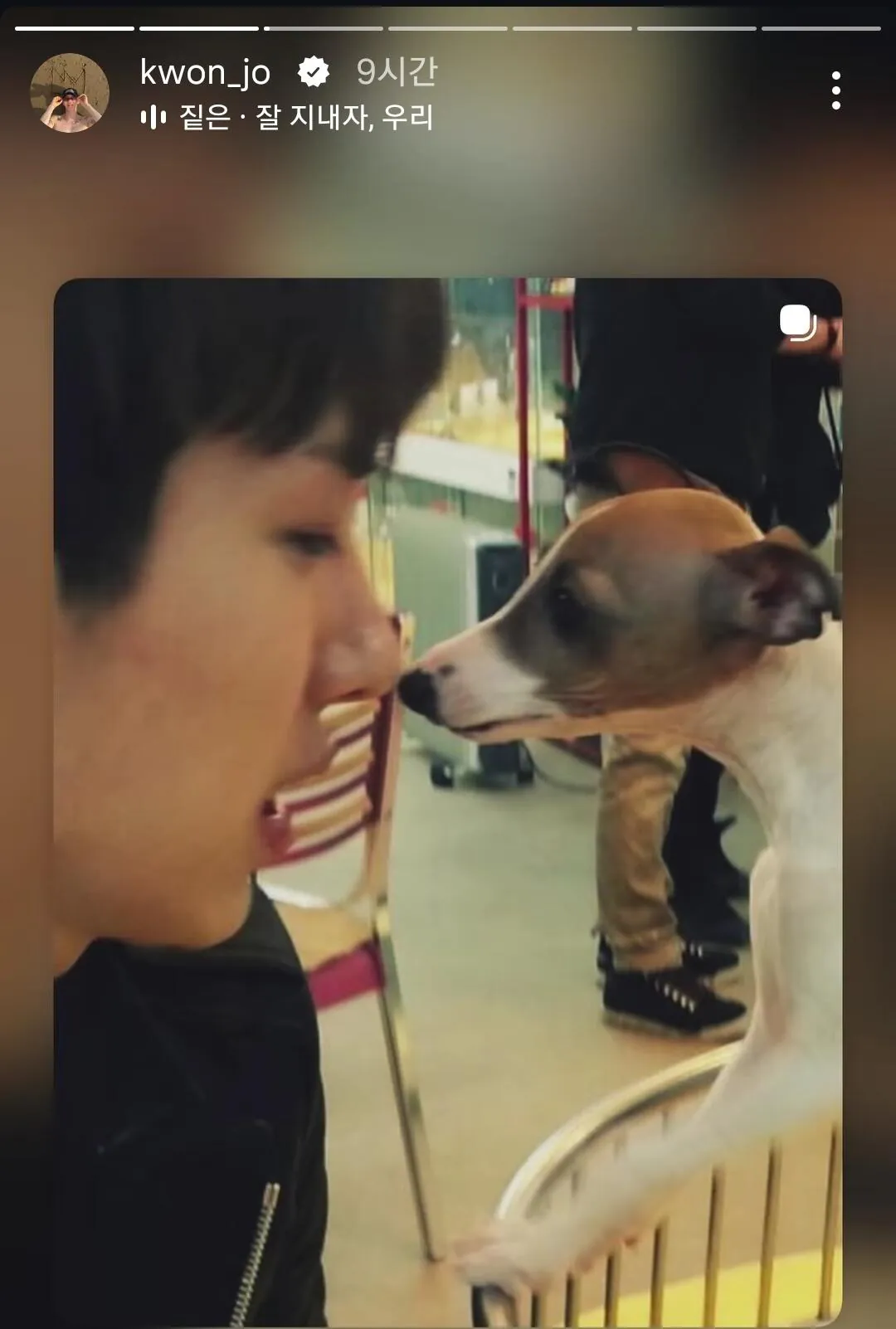 오래키운 반려견을 떠나보낸 조권 (3)