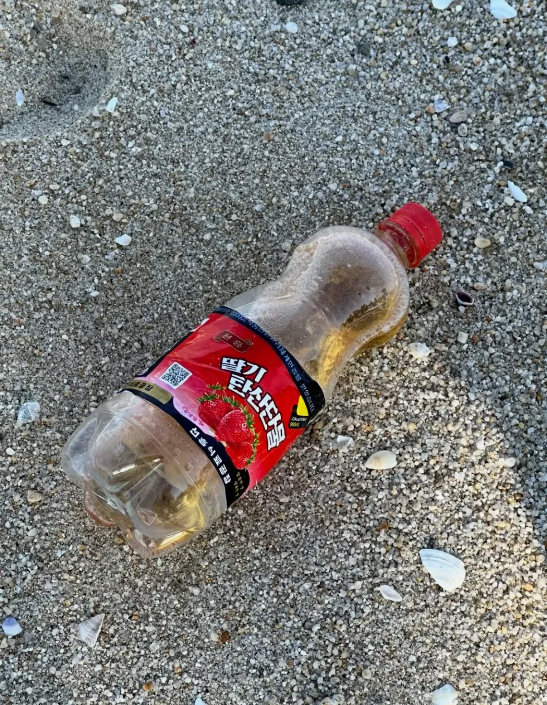 강원도 바다에 떠내려온 북한 쓰레기들 (8)