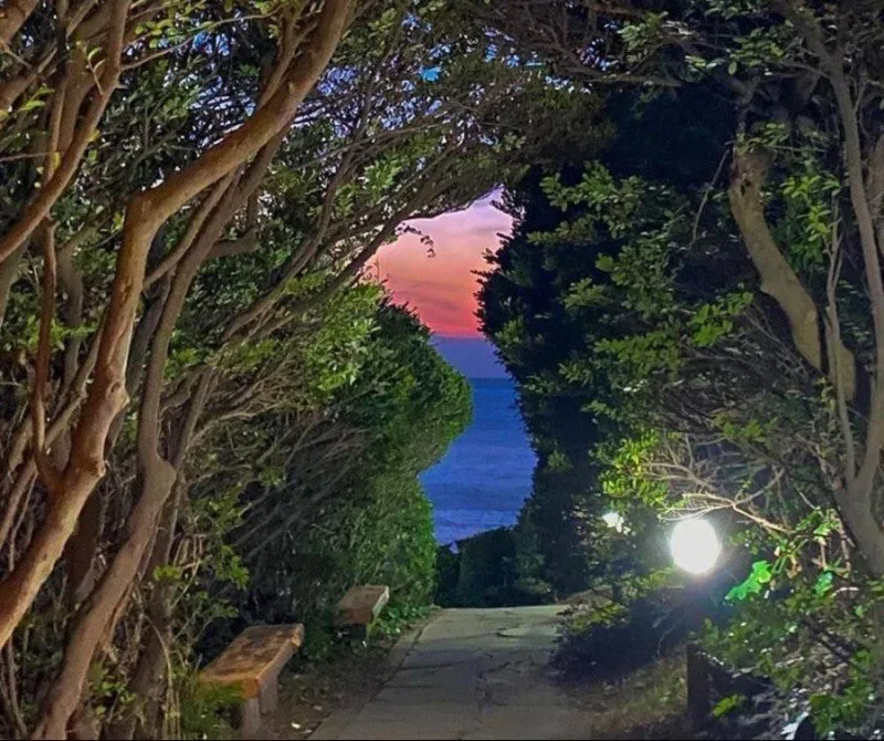 제주도에 가면 볼 수 있다는 한반도 사진 (2)