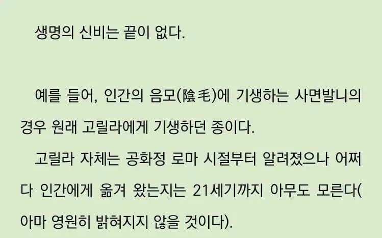 고릴라가 인간에게 선물한것 (2)