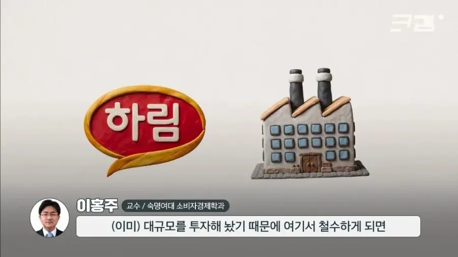 더미식 라면 출시 5년 만에 적자만 수천억이라는 하림 (14)