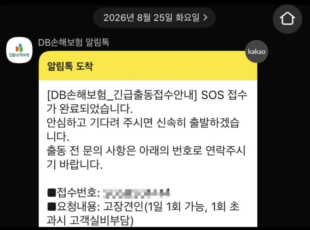 남산터널 웨딩 촬영 근황의 근황 (3)