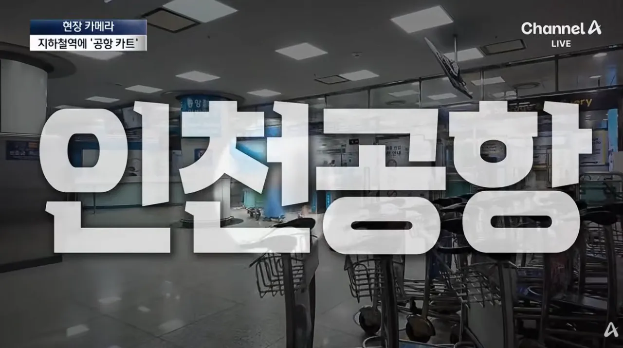 공항 카트를 자기 마음대로 쓴다는 인간들 (12)