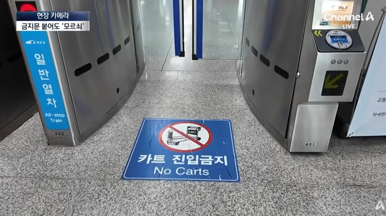 공항 카트를 자기 마음대로 쓴다는 인간들 (19)