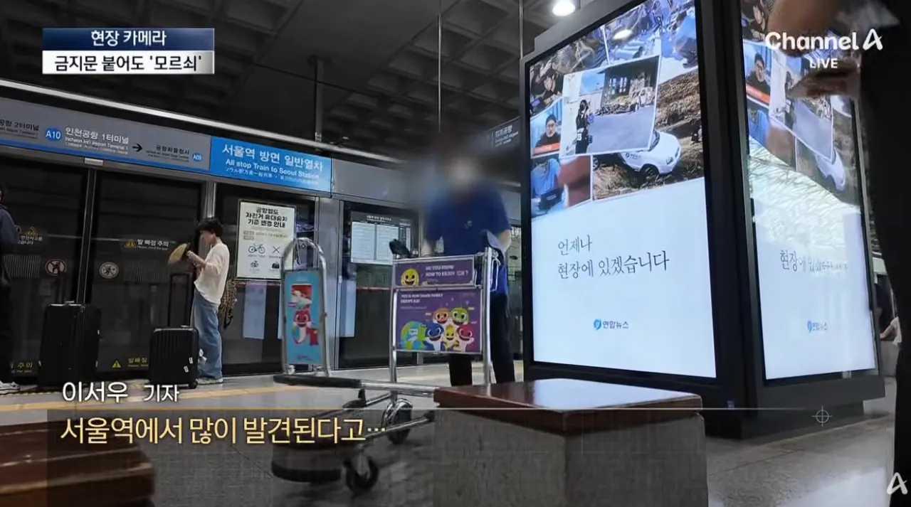 공항 카트를 자기 마음대로 쓴다는 인간들 (21)