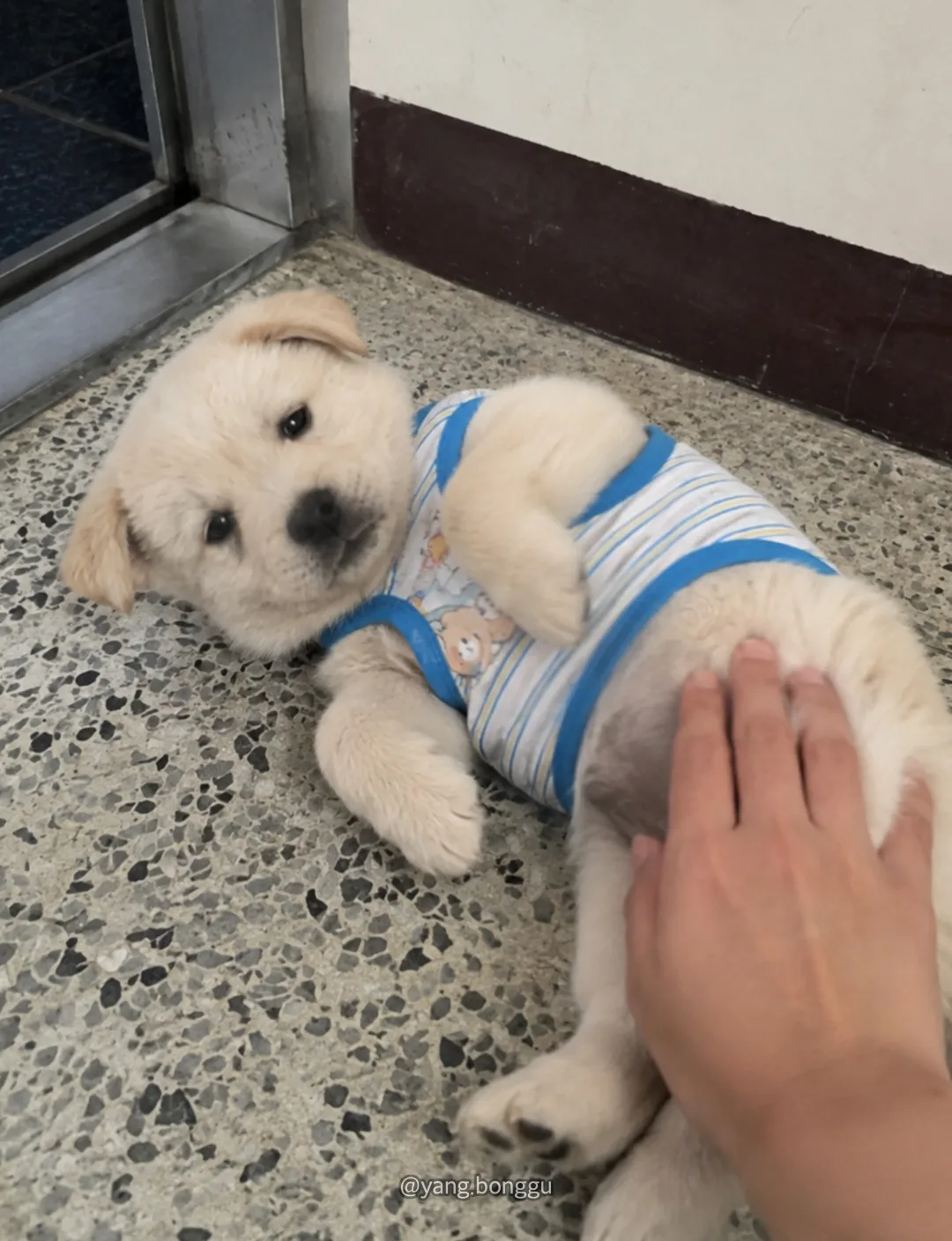 우리집 최고인 점 (2)