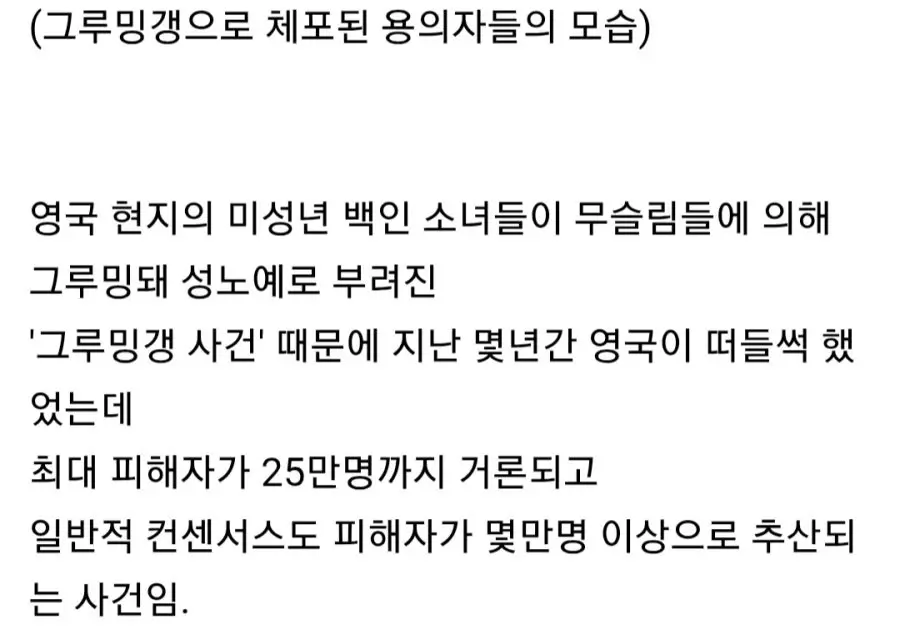 최근 영국에서 난리가 나고 있다는 난민 사건 (13)