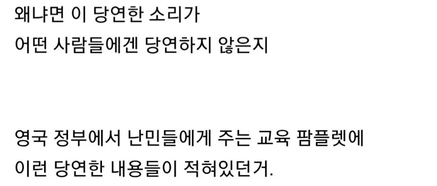 최근 영국에서 난리가 나고 있다는 난민 사건 (2)