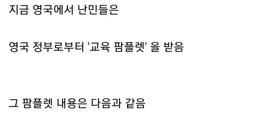 최근 영국에서 난리가 나고 있다는 난민 사건 (3)