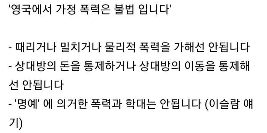 최근 영국에서 난리가 나고 있다는 난민 사건 (5)