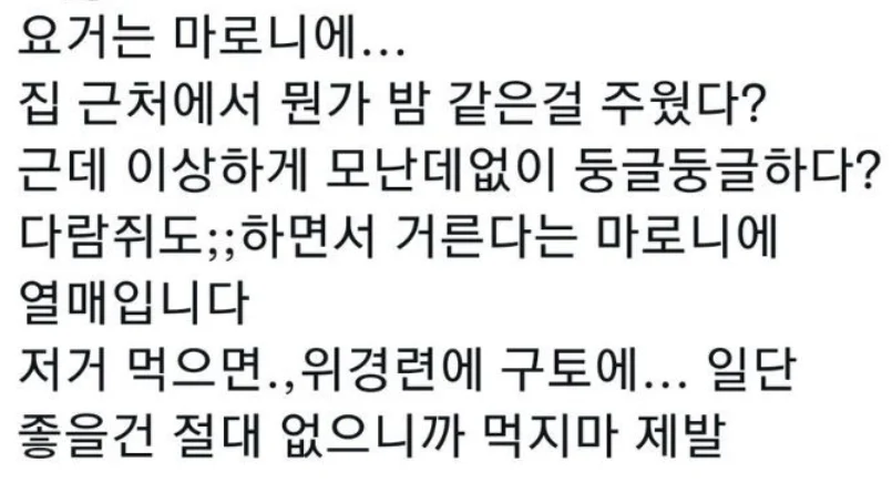 밤처럼 생겼지만 먹으면 큰일나는 열매 (2)