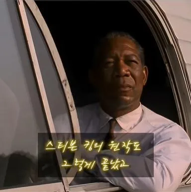 쇼생크 탈출의 엔딩장면이 원작과 다른 이유 (9)