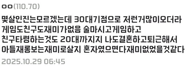 갑자기 인생 모든게 다 재미가 없어졌다는 디시인 (3)