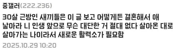 갑자기 인생 모든게 다 재미가 없어졌다는 디시인 (5)