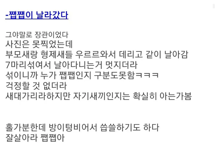 제비 줍줍한 디시인 (3)