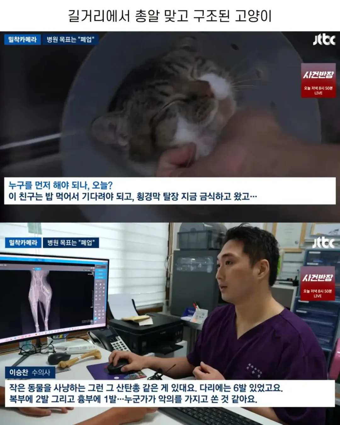 진료비 천원이라는 동물병원.jpg (2)