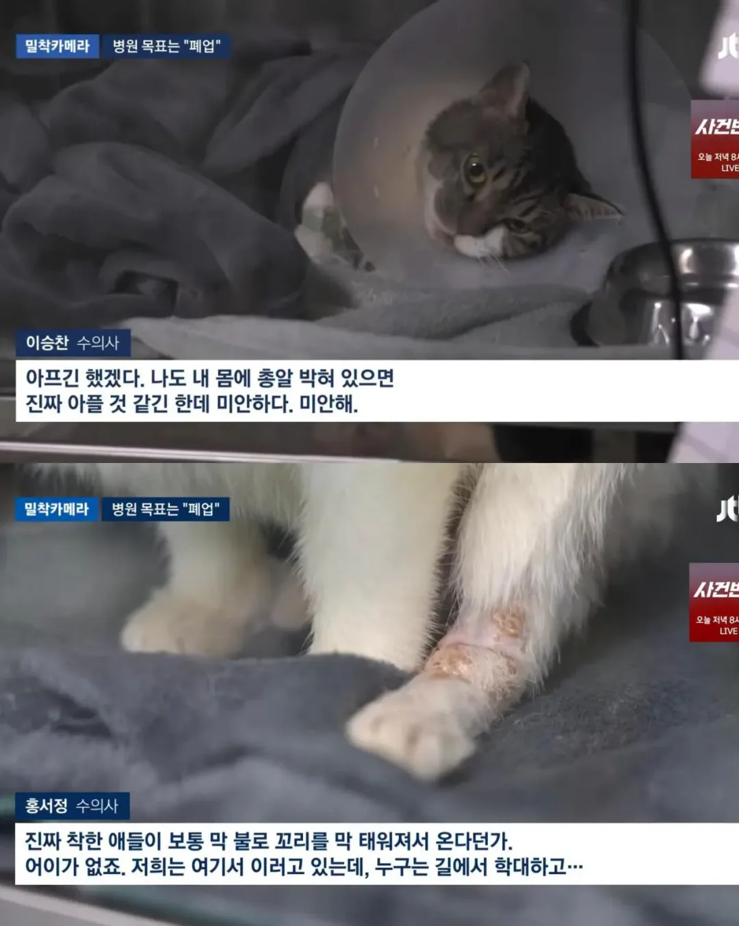 진료비 천원이라는 동물병원.jpg (3)