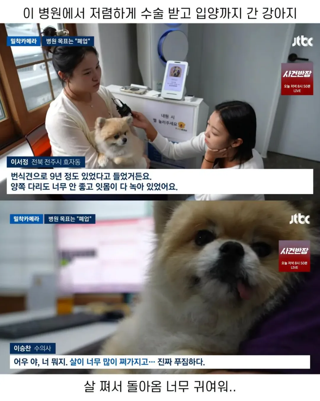 진료비 천원이라는 동물병원.jpg (5)