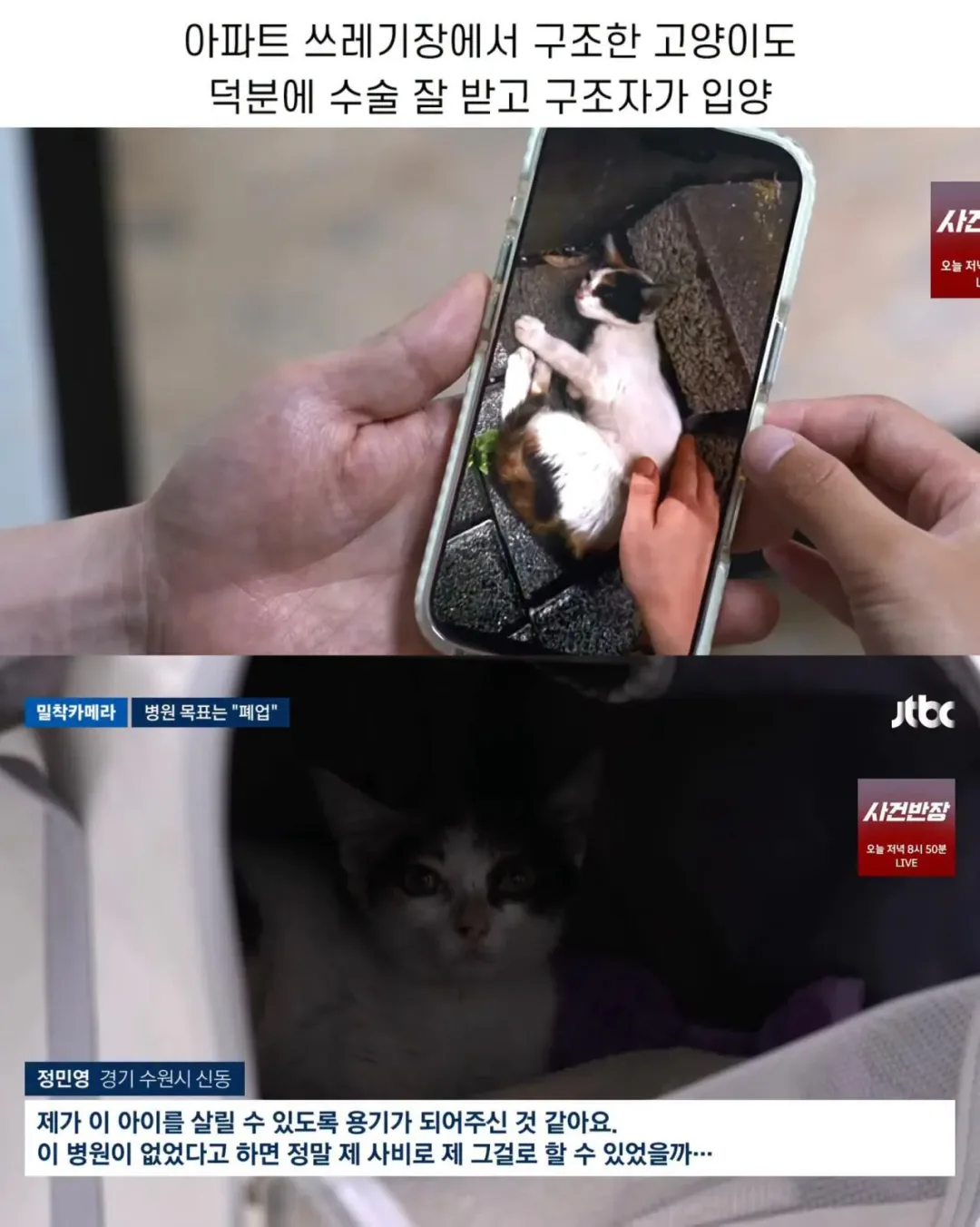 진료비 천원이라는 동물병원.jpg (6)