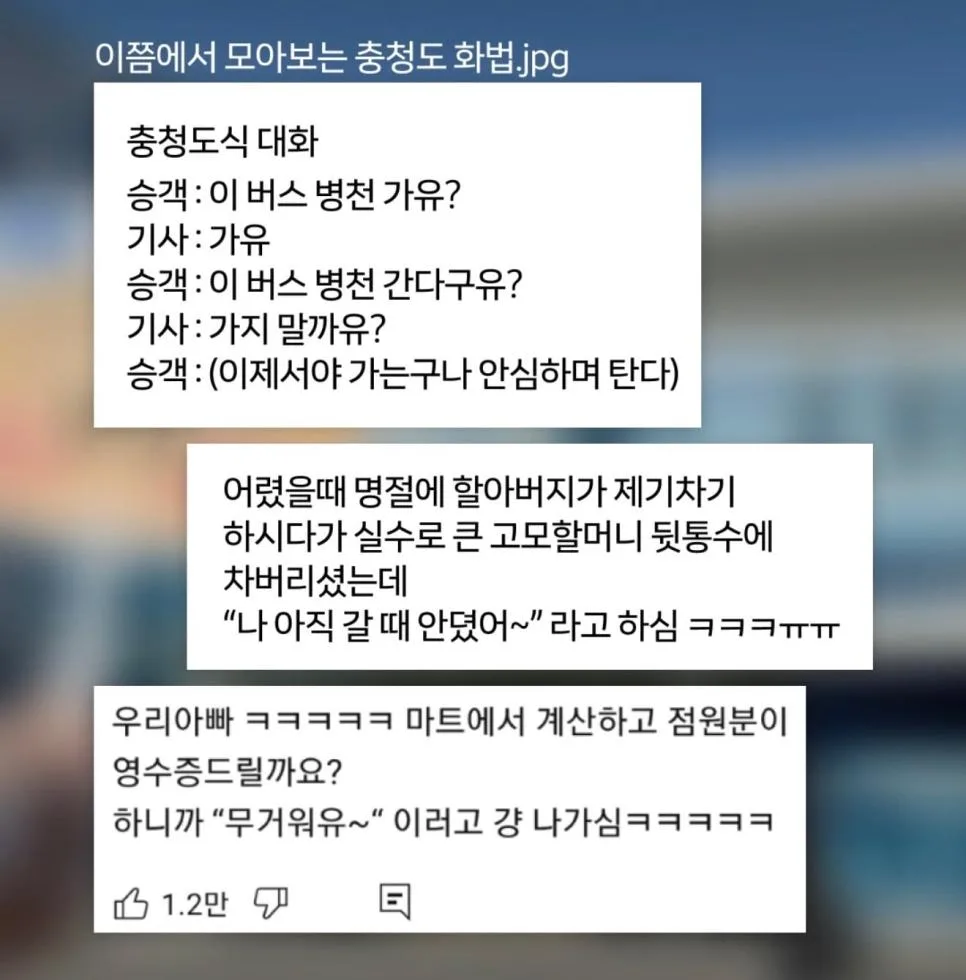 사실 치열한 밈 배틀이라는 충청도 사투리.jpg (3)