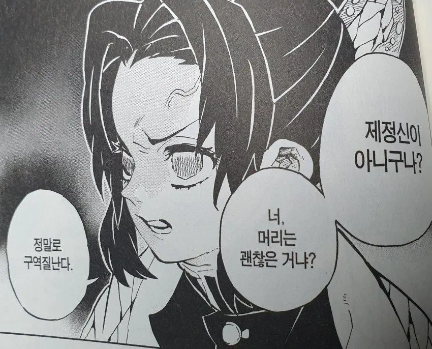 귀칼) 불법 번역 vs 정발 번역 (4)