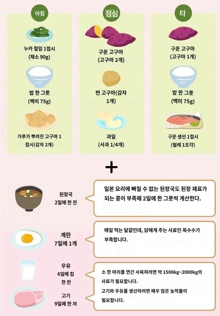 식량을 수입할 수 없게된다면 식단은 이렇게 된다 (2)