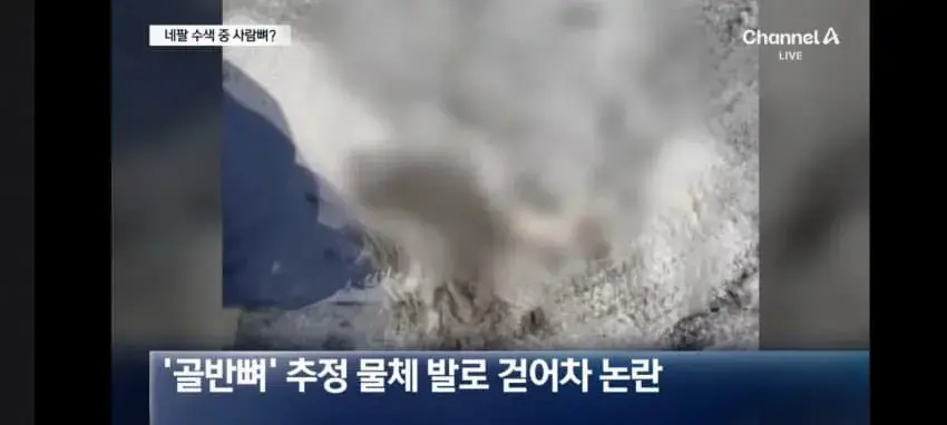대홍수 네팔에 간 한국인 산악인 근황 (2)