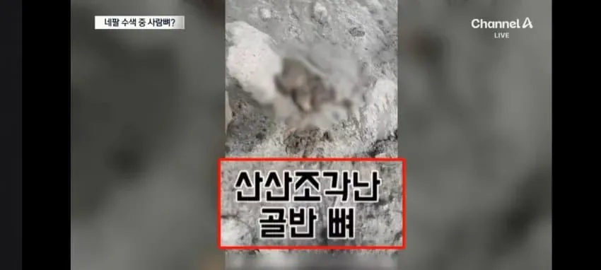 대홍수 네팔에 간 한국인 산악인 근황 (4)